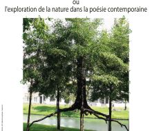 L'utopie du pot de fleurs